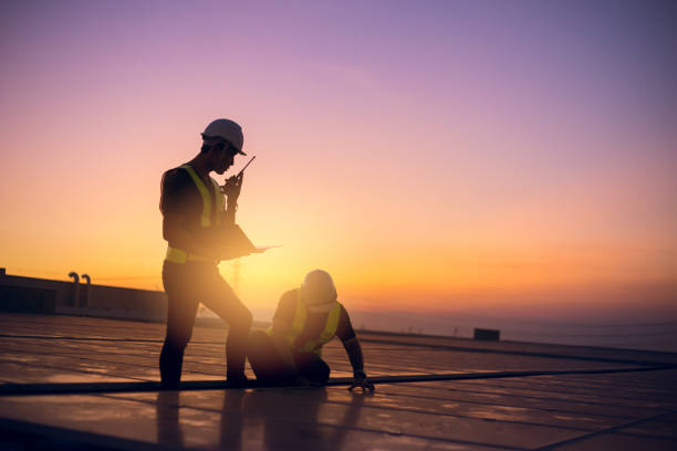 Best Metal Roofing Contractor  in Swansea, IL