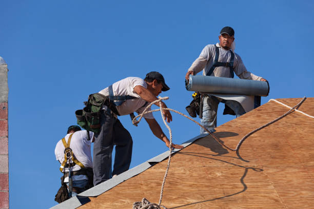 Best Flat Roof Repair Services  in Swansea, IL