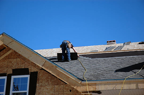 Best Roof Gutter Cleaning  in Swansea, IL